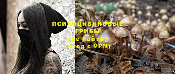 спайс Кадников