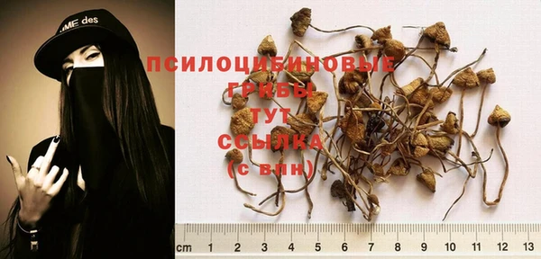 альфа пвп Зуевка