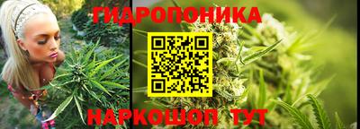 прущие крисы Гагарин