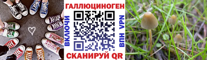 Галлюциногенные грибы GOLDEN TEACHER  Костомукша 