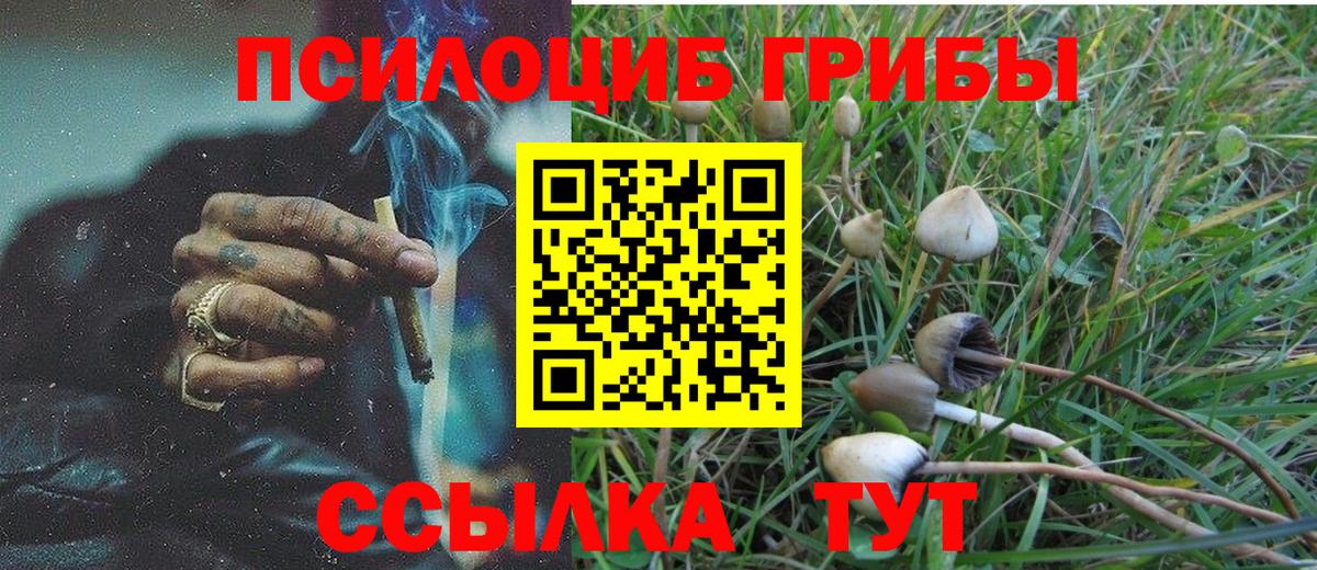 Галлюциногенные грибы мицелий Костомукша